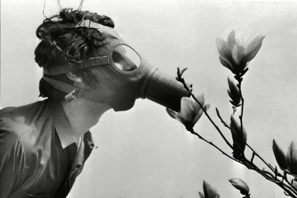 A Pace College student in a gas mask “smells” a magnolia blossom in New York City on Earth Day, 1970. AP file photo